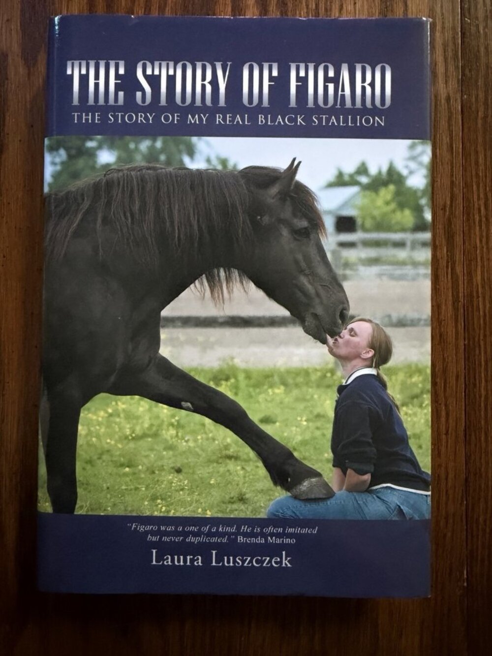 The Story of Figaro: The Story of My Real Black Stallion by Laura Luszczek (Engl